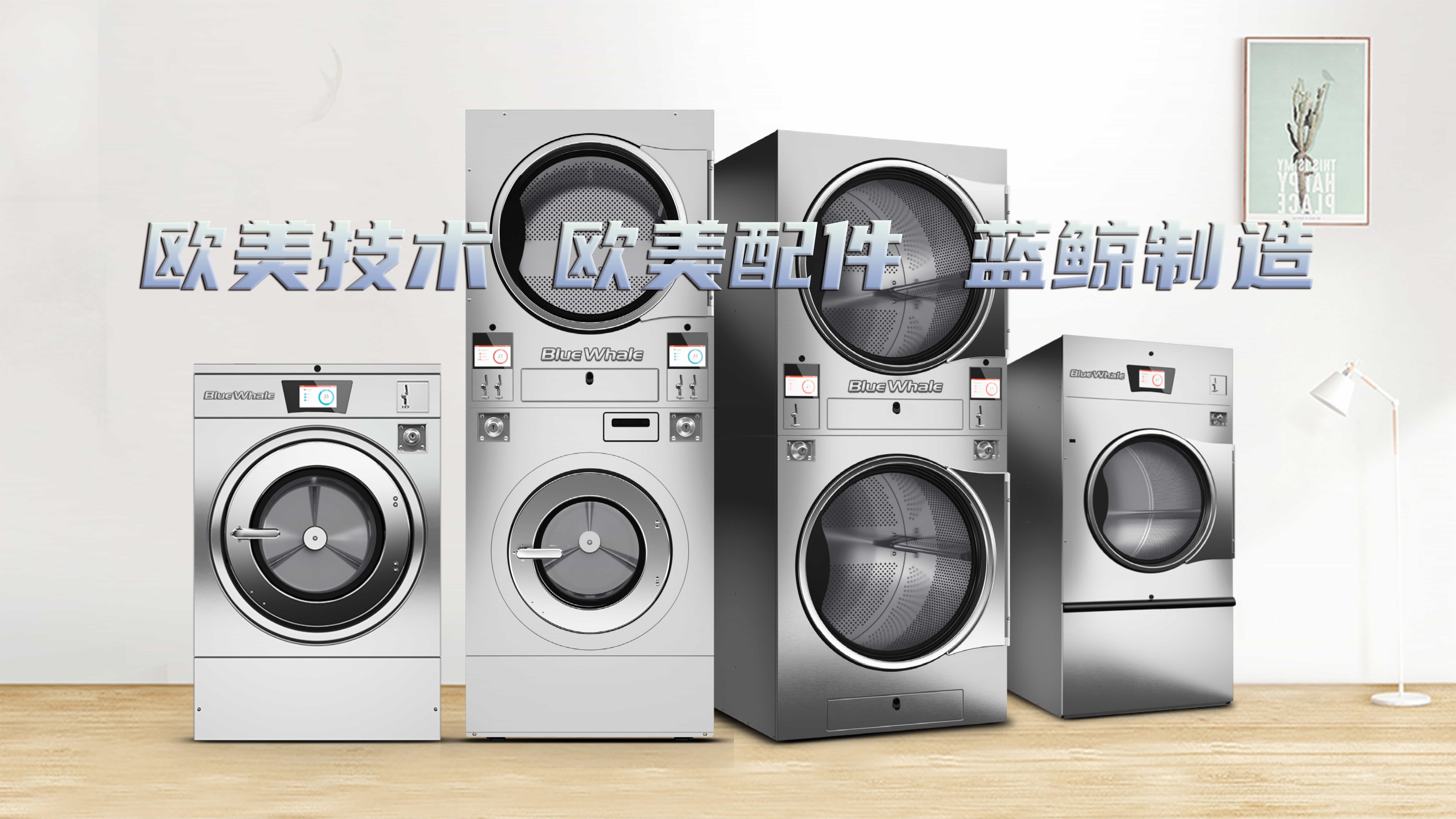 高端洗涤设备集成供应商
